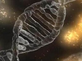 试管婴儿会导致卵巢早衰吗？