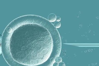 胚胎质量和内膜容受性都很好但老是不着床该怎么办？